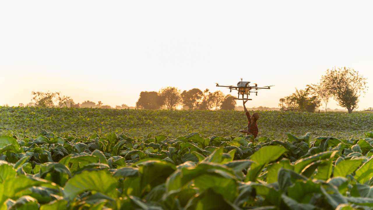 Revolutionizing Indian Agriculture: Krishiviman's Pioneering Drone Technology
