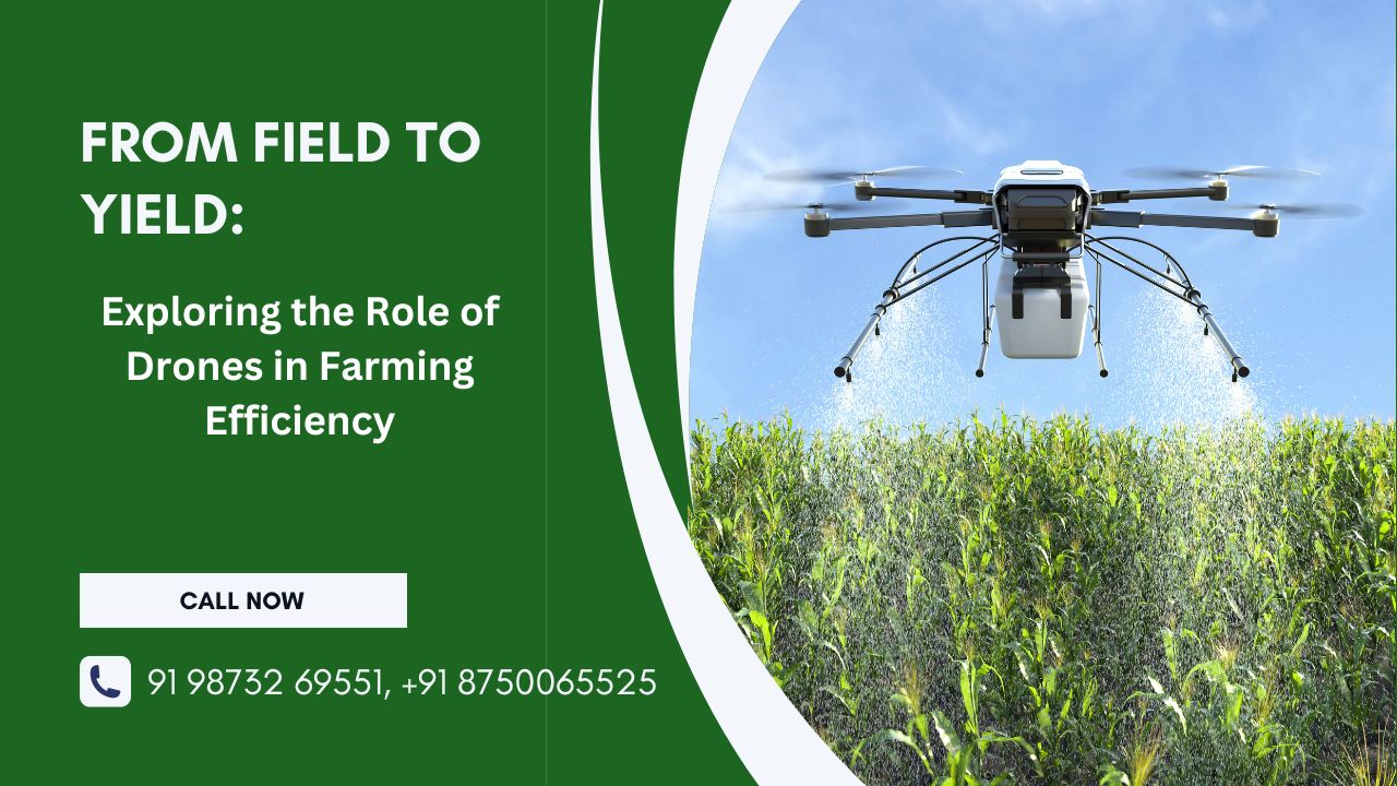 From Field to Yield: Exploring the Role of Drones in Farming Efficiency